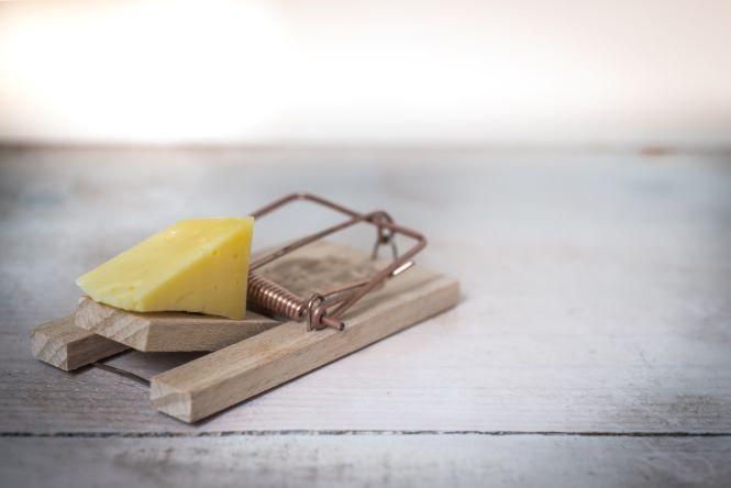 wooden mouse trap